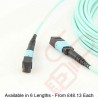 OM4 MTP-MTP Type A (KeyUp KeyDown) MPO 12 Core Fibre Trunk Cassette Cable
