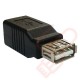 USB 2.0 Type A Female to Type B Female Adapter