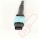 OM4 MTP-MTP Type B (KeyUp KeyUp) MPO 12 Core Fibre Trunk Cassette Cable