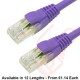 Cat6 Patch Cables RJ45 UTP Premium LSZH Snagless Booted Purple