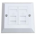 Cat6 Faceplates, Modules and Jacks